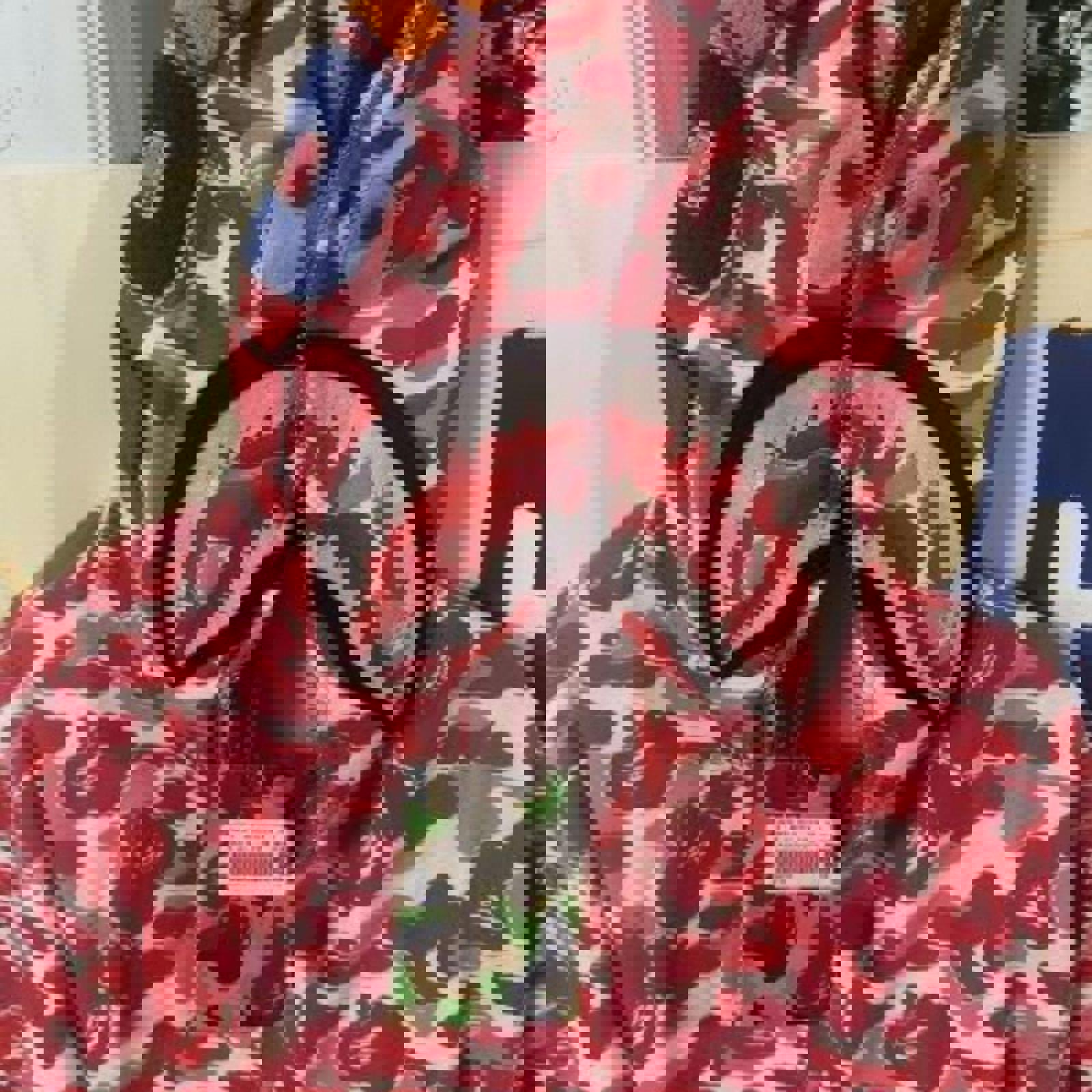 BAPE Pink Camo Shark Full Zip Hoodie – Size 2XL