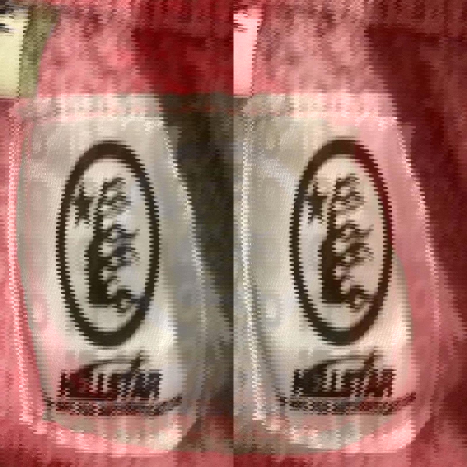 Pink Hellstar Shorts - Small