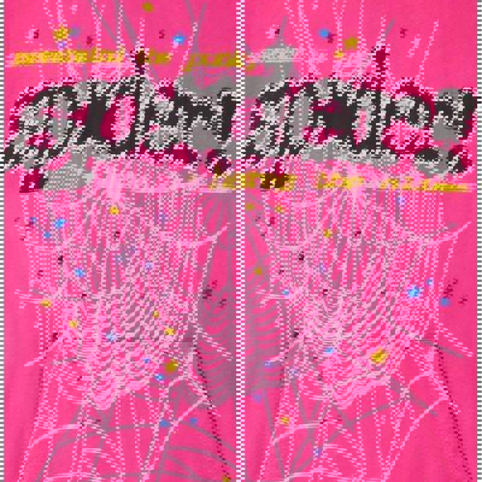 Sp5der “Web Logo” Hoodie – Pink - XL
